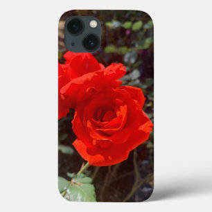 Coque rouge rose iPhone 13