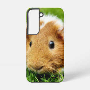 Coque Samsung Galaxy Boîtier téléphonique pour porc de Guinée