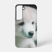 "Charme de chiot blanc tout doux"