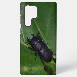 Coque Samsung Galaxy Dorcus parallelipipedus, le moindre dendroctone du