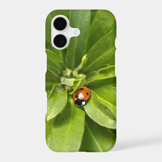Coque Samsung Galaxy Ladybug (Verso)