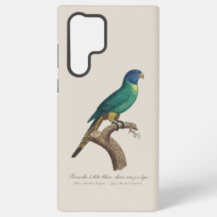 Coque Samsung Galaxy Perruche a tete bleue / Rainbow lorikeet, juvénile