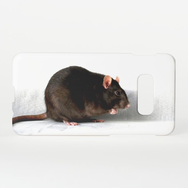 Coque Samsung Galaxy Rat sgcna (Dos Horizontal)