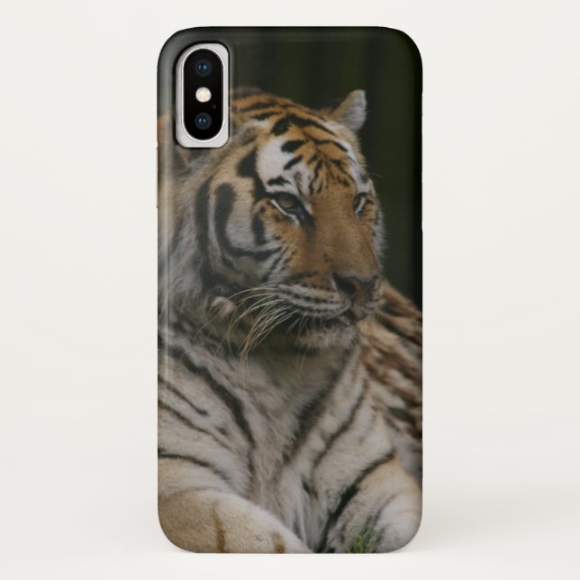 Coque Sibérien de Tigre-Mate coque iphone (Dos)