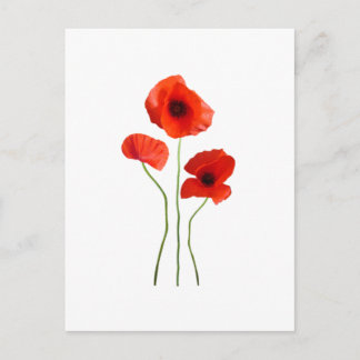 coquelicot -poppy postcard