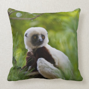 Coquerel's Sifaka in the forest 2 Throw Pillow