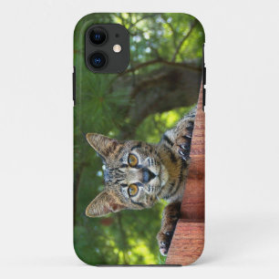 Coque iPhone 11 穹 ン 猫 のiPhone 5の ナ 窖  de 