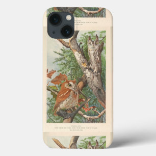 Coques Pour iPhone 2 chouettes vintages en colère dans un arbre
