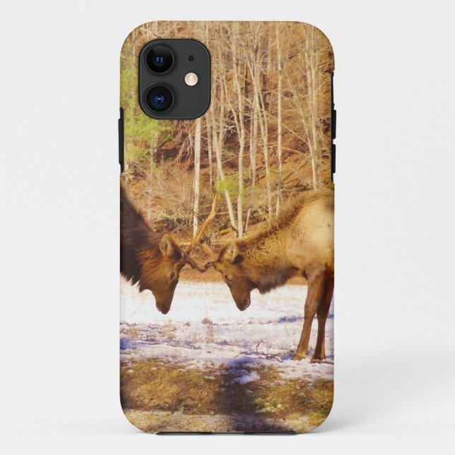 Coques Case-Mate iPhone 2~ deux Bull Elk dans la neige (Dos)