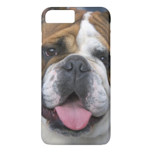 Etui iPhone Case-Mate A English bulldog en Belgique.
