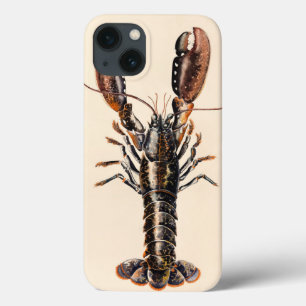 iPhone 13 Coque A Lobster from Solva