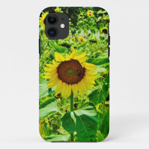 Coque iPhone 11 Abeille sur tournesol jaune