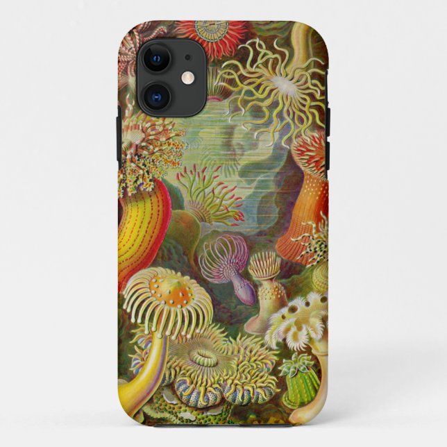 Coques Case-Mate iPhone Actinae Ocean Life d'Ernst Haeckel (Dos)