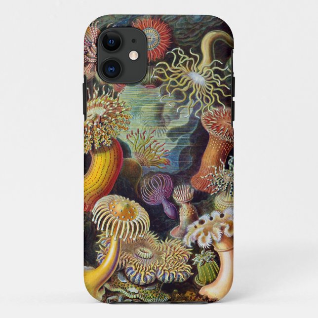Coques Case-Mate iPhone Actinies d'Ernst Haeckel (Dos)