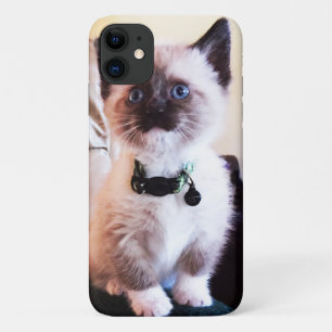 Coques Pour iPhone Adorable bleu teint Masqué Kitten photo