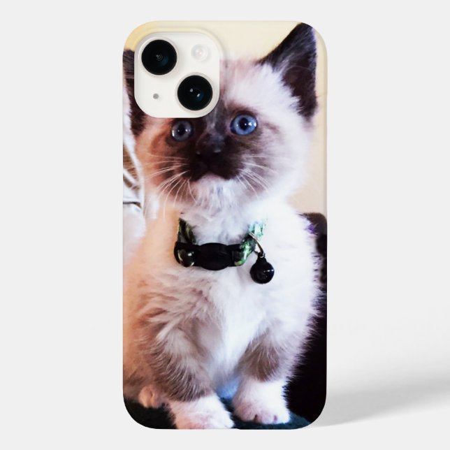 Coques Case-Mate iPhone Adorable bleu teint Masqué Kitten photo (Verso)
