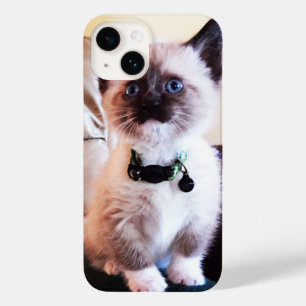 Coque Pour iPhone 14 Adorable Blue Eyed Siamese Kitten Photo