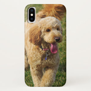 Case-Mate iPhone Case Adorable chien doré
