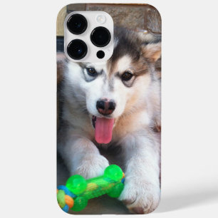 Coque Pour Pour iPhone 14 Pro Max Adorable Marionnette Alaskan Malamute photo