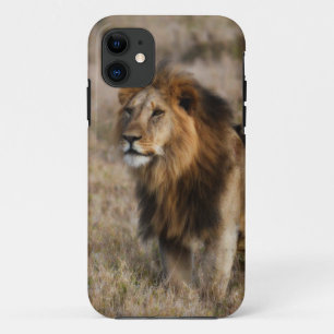 Coques Pour iPhone African Lion