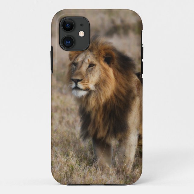 Coques Case-Mate iPhone African Lion (Dos)