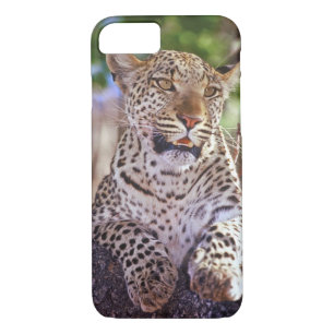 Coque iPhone 8/7 Afrique, Botswana, delta de l'Okvango, léopard sau