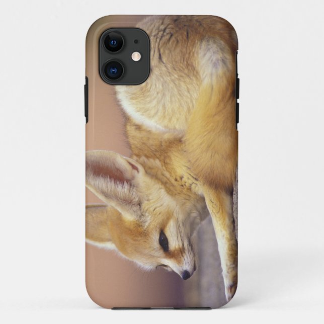 Coques Case-Mate iPhone Afrique du Nord. Fennec Fennecus zerda) (Dos)