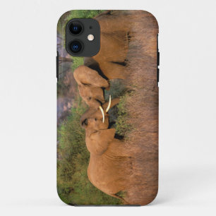 Case-Mate iPhone Case Afrique, Kenya, Samburu. Défi de l'éléphant