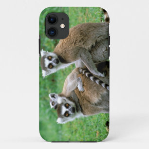 Coques Pour iPhone Afrique, Madagascar, Antananarivo, Tsimbazaza