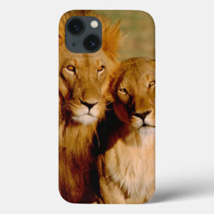 Etui iPhone 13 Afrique, Namibie, Okonjima. Lion & Lion