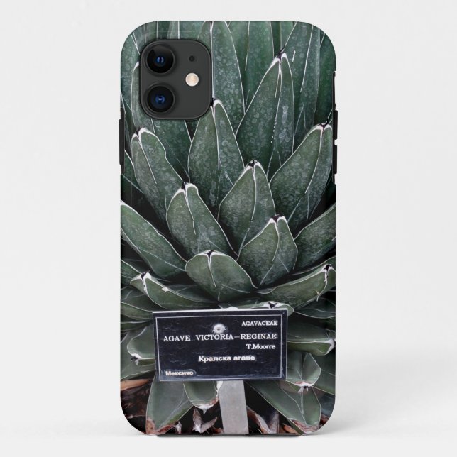 Coques Case-Mate iPhone Agave Victoria Photo iPhone SE + iPhone 5/5S (Dos)
