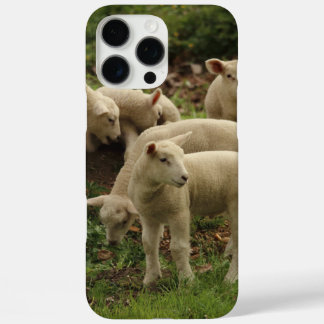 Coques iPhone 16 Pro Max Agneau