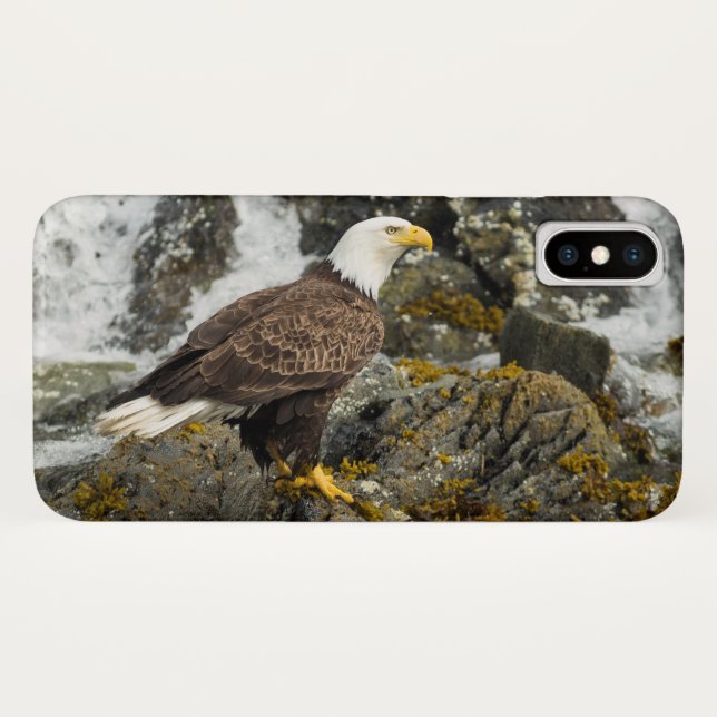 Coques Case-Mate iPhone Aigle à tête blanche (Dos (Horizontal))