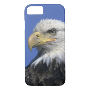 Coque Case-Mate Pour iPhone Aigle à tête blanche (Haliaeetus leucocephalus), s
