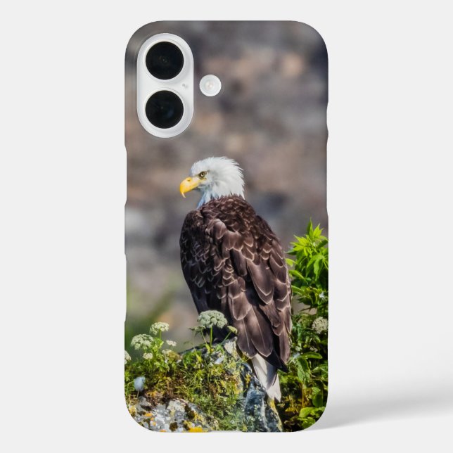 Coques Case-Mate iPhone Aigle bald assis sur le rocher (Verso)