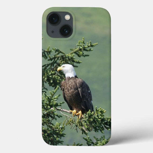 Coques Case-Mate iPhone Aigle de Bald (Verso)