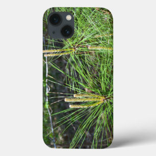 Etui iPhone 13 Aiguilles de pin par Kenneth Yoncich