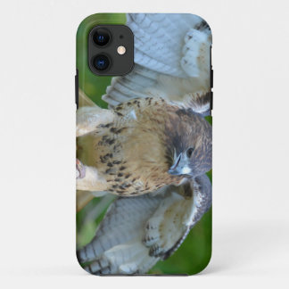 Coque iPhone 11 ailes Rouge-coupées la queue de diffusion de