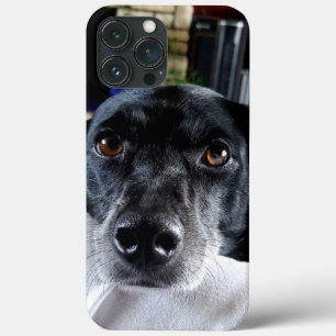 Case-Mate iPhone Case Ajouter la photo de votre chien à cette personnali