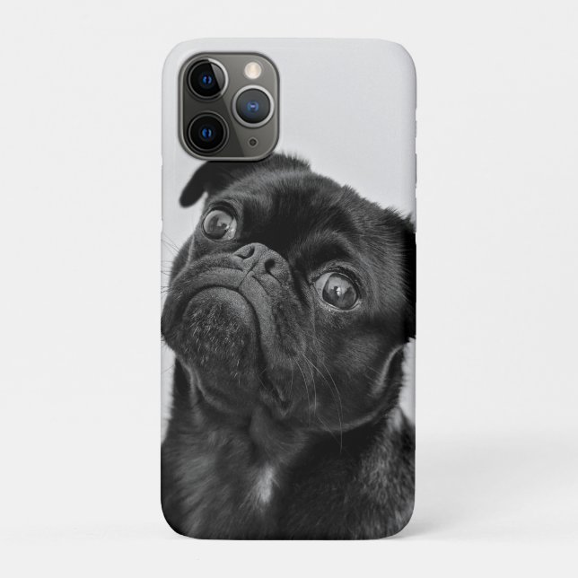 Coques Case-Mate iPhone Ajouter votre propre voyage photo chien | carlin d (Dos)