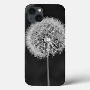 Case-Mate iPhone Case Aller aux semences