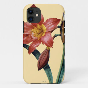 Coque Case-Mate Pour iPhone Amaryllis
