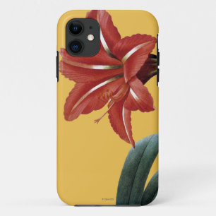 Coques Pour iPhone Amaryllis barrée