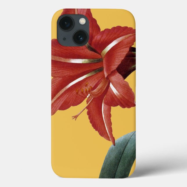 Coques Case-Mate iPhone Amaryllis barrée (Verso)