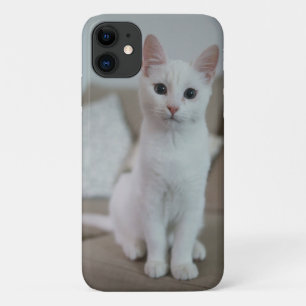 Case-Mate iPhone Case American white shorthair