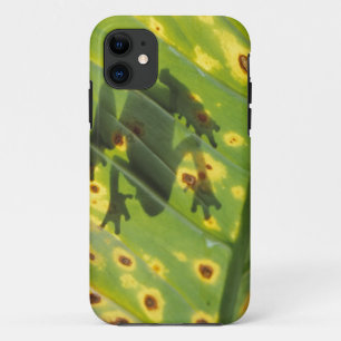 Case-Mate iPhone Case AMÉRIQUE CENTRALE, Costa Rica, Grenouille en contr
