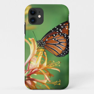 Coques Pour iPhone Amérique du Nord, États-Unis, WA, Seattle, Woodlan