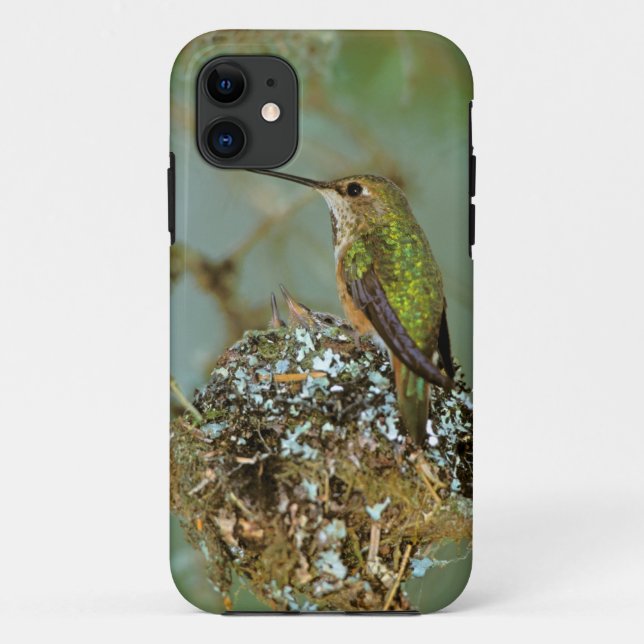 Coques Case-Mate iPhone Amérique du Nord, USA, Alaska. Oiseau roux (Dos)