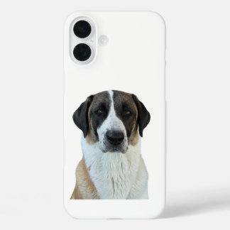 Coques iPhone 16 Plus Anatolian Shepherd iPhone/coque ipad