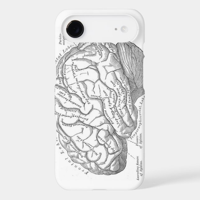 Coques Case-Mate iPhone Anatomie vintage de cerveau (Verso)